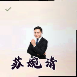 苏婉清